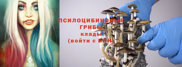 а пвп мука Пестово